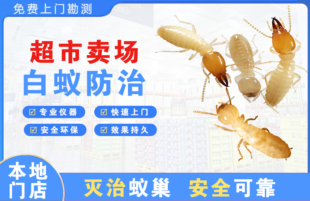大渡口超市卖场白蚁防治