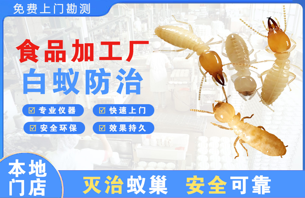大渡口食品加工厂白蚁防治